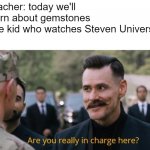 Creative Title | Teacher: today we'll learn about gemstones
The kid who watches Steven Universe: | image tagged in are you really in charge here,steven universe | made w/ Imgflip meme maker