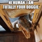 Alligator pretending to be a dog | HI HUMAN. I AM TOTALLY YOUR DOGGIE. | image tagged in gator critter | made w/ Imgflip meme maker