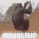 Monkey GIF Template