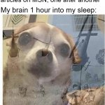 I should stop using that website so much | Me: *scrolls through 5000+ articles on MSN, one after another*; My brain 1 hour into my sleep: | image tagged in ptsd chihuahua,relatable memes,so true memes | made w/ Imgflip meme maker
