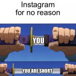 Unsheathing Sword | Instagram for no reason; YOU; YOU ARE SHORT | image tagged in unsheathing sword | made w/ Imgflip meme maker