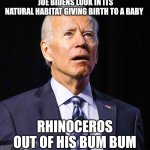 Joe Biden | JOE BIDENS LOOK IN ITS NATURAL HABITAT GIVING BIRTH TO A BABY; RHINOCEROS OUT OF HIS BUM BUM | image tagged in joe biden | made w/ Imgflip meme maker