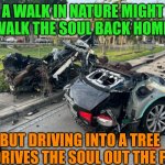 Meme | A WALK IN NATURE MIGHT WALK THE SOUL BACK HOME; BUT DRIVING INTO A TREE DRIVES THE SOUL OUT THE F. | image tagged in meme | made w/ Imgflip meme maker