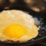 Fried egg frying egg drugs JPP GIF Template