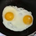 frying egg talking fried egg JPP GIF Template
