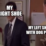 Shoe | MY RIGHT SHOE; MY LEFT SHOE WITH DOG POOP | image tagged in gifs,shoes | made w/ Imgflip video-to-gif maker