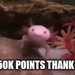 yay :D | I GOT 50K POINTS THANK YOU!!! | image tagged in gifs,yay,happy,points,you have been eternally cursed for reading the tags | made w/ Imgflip video-to-gif maker