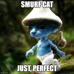 smurf cat lol | SMURF CAT; JUST, PERFECT | image tagged in blue smurf cat | made w/ Imgflip meme maker