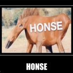 honse. | HONSE | image tagged in black box meme,idk | made w/ Imgflip meme maker