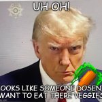 Grumpy Trump | UH OH! LOOKS LIKE SOMEONE DOSENT WANT TO EAT THERE VEGGIES | image tagged in trump mugshot | made w/ Imgflip meme maker