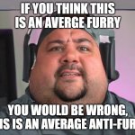 Yeah its kinda true | IF YOU THINK THIS IS AN AVERGE FURRY; YOU WOULD BE WRONG, THIS IS AN AVERAGE ANTI-FURRY | image tagged in fat guy | made w/ Imgflip meme maker
