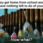 who else | When you get home from school and realize
 you have nothing left to do of your day : | image tagged in memes,relatable,school,now what,home,front page plz | made w/ Imgflip meme maker
