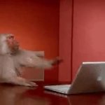 Ape Monkey computer angry throws JPP GIF Template