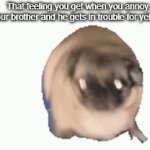 I do this to my brother | That feeling you get when you annoy your brother and he gets in trouble for yelling | image tagged in gifs,pug | made w/ Imgflip video-to-gif maker