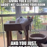 every single day | WHEN YOUR MOM IS GIVING YOU A LECTURE ABOUT NOT CLEANING YOUR ROOM; AND YOU JUST HAVE TO SIT LIKE | image tagged in cat laying weird | made w/ Imgflip meme maker