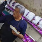 Taquerias del malestar 1