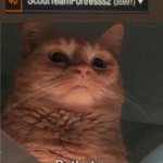 How did I become so popular | image tagged in pathetic cat,memes,funny,imgflip,milestone | made w/ Imgflip meme maker