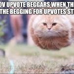 My time has come. | POV UPVOTE BEGGARS WHEN THEY FIND THE BEGGING FOR UPVOTES STREAM | image tagged in flying cat ball | made w/ Imgflip meme maker