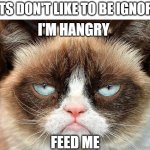 HANGRY FACE | CATS DON'T LIKE TO BE IGNORED; I'M HANGRY; FEED ME | image tagged in memes,grumpy cat not amused,grumpy cat | made w/ Imgflip meme maker