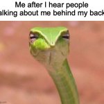Its a serious problem at school | Me after I hear people talking about me behind my back: | image tagged in skeptical snake | made w/ Imgflip meme maker