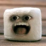 Marshmallow Scream