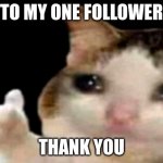 thank you | TO MY ONE FOLLOWER; THANK YOU | image tagged in sad cat thumbs up | made w/ Imgflip meme maker