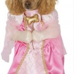 Princess Dog