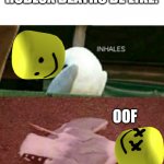oof | ROBLOX DEATHS BE LIKE:; OOF | image tagged in dead seagull | made w/ Imgflip meme maker