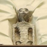 1,000-year-old 'alien corpses' displayed in glass cases in Mexic