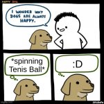 oh. that's why | *spinning Tenis Ball*; :D | image tagged in srgrafo happy dog | made w/ Imgflip meme maker