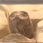 1,000-year-old fossils of 'alien' corpses displayed in Mexico's