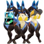 Curvy Female Lucario