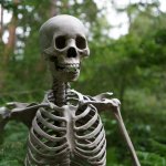 Skeleton Waiting