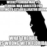 WHAT ARE YOU SUPPOSED TO DO WITH A DRUNK ALLIGATOR?! | WEEKLY FLORIDA MAN #5: FLORIDA MAN ARRESTED FOR TRYING TO GET AN ALLIGATOR DRUNK; WHAT THE HAIL IS WRONG WITH FLORIDA | image tagged in florida,florida man,meanwhile in florida,alligator | made w/ Imgflip meme maker