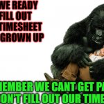 Some People Just Need More Convincing | ARE WE READY TO FILL OUT THAT TIMESHEET LIKE A GROWN UP; REMEMBER WE CANT GET PAID IF WE DON'T FILL OUT OUR TIMESHEET | image tagged in old dawg,timesheet reminder,timesheet meme | made w/ Imgflip meme maker