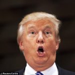 Trump stupid face | image tagged in trump stupid face | made w/ Imgflip meme maker