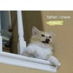 father, I crave violence cat | WHEN YOU FAIL ART SCHOOL; Poland | image tagged in father i crave violence cat | made w/ Imgflip meme maker