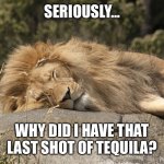sleeping lion | SERIOUSLY…; WHY DID I HAVE THAT LAST SHOT OF TEQUILA? | image tagged in sleeping lion | made w/ Imgflip meme maker