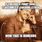 laughing | IF YOU BOIL A FUNNY BONE, IT BECOMES A LAUGHING STOCK; MEMEs by Dan Campbell; NOW THAT IS HUMERUS | image tagged in laughing | made w/ Imgflip meme maker