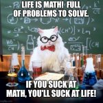 Class is in session. | LIFE IS MATH!  FULL OF PROBLEMS TO SOLVE. IF YOU SUCK AT MATH, YOU'LL SUCK AT LIFE! | image tagged in memes,chemistry cat | made w/ Imgflip meme maker