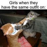 Those be the girls alright | Girls when they have the same outfit on: | image tagged in two cats fighting for real | made w/ Imgflip meme maker