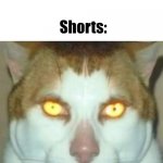 Sigma Cat | "YT shorts isn't that bad"; Shorts: | image tagged in sigma cat | made w/ Imgflip meme maker