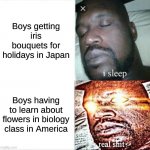 Different countries, different boys | Boys getting iris bouquets for holidays in Japan; Boys having to learn about flowers in biology class in America | image tagged in memes,sleeping shaq,flowers,japan | made w/ Imgflip meme maker