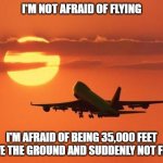 airplanelove | I'M NOT AFRAID OF FLYING; I'M AFRAID OF BEING 35,000 FEET ABOVE THE GROUND AND SUDDENLY NOT FLYING | image tagged in airplanelove | made w/ Imgflip meme maker