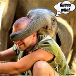 baby elehant playing "guess who" | Guess
who! Angel Soto | image tagged in baby elephant,guess who,animal memes | made w/ Imgflip meme maker