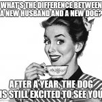 Retro woman teacup | WHAT'S THE DIFFERENCE BETWEEN A NEW HUSBAND AND A NEW DOG? AFTER A YEAR, THE DOG IS STILL EXCITED TO SEE YOU | image tagged in retro woman teacup | made w/ Imgflip meme maker