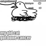 21333's announcement | air; zad; my old cat got bone cancer | image tagged in 21333's announcement | made w/ Imgflip meme maker