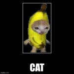 cat | CAT | image tagged in banana cat | made w/ Imgflip meme maker
