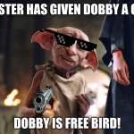 *music intensifies* | MASTER HAS GIVEN DOBBY A GUN; DOBBY IS FREE BIRD! | image tagged in dobby is free,memes,funny,funny memes,'murica,harry potter | made w/ Imgflip meme maker