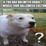 Comment below | IF YOU HAD UNLIMITED BUDGET. WHAT WOULD YOUR HALLOWEEN COSTUME BE | image tagged in dog question mark | made w/ Imgflip meme maker